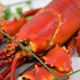 Teaser Image: Lobster