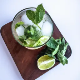 Teaser Image: Mojito