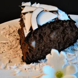 Teaser Image: Schokoladen-Kokos-Kuchen